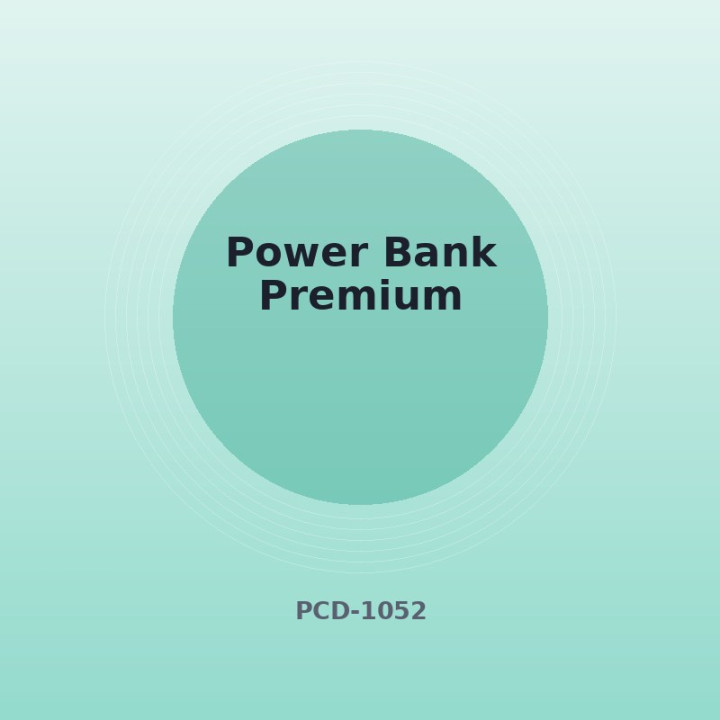 Batterie externe Premium